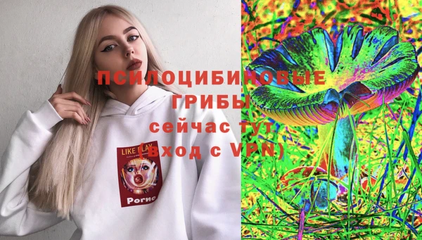 марки lsd Горняк