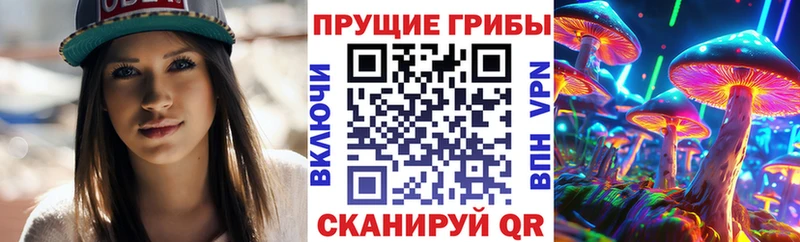 купить наркотики сайты Задонск Псилоцибиновые грибы ЛСД